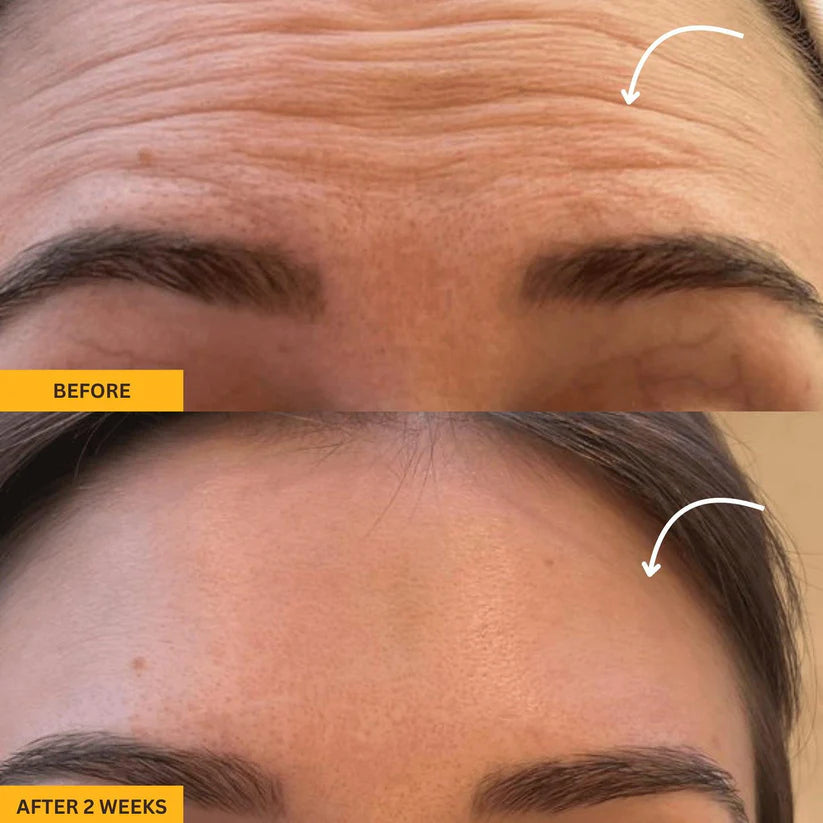 HappiPanda™ Face Sculpting Brush + FREE eBook & Travel Case